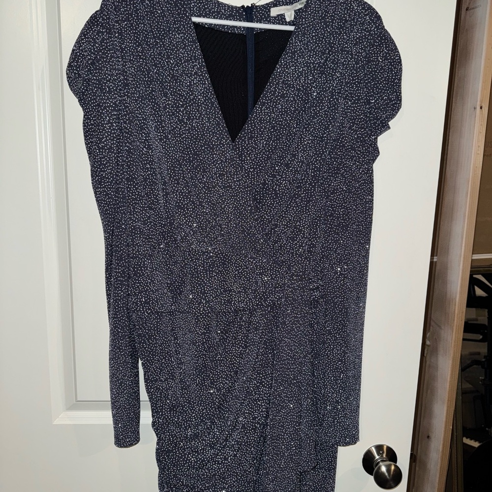 Elegant Navy and Silver Women's Dress